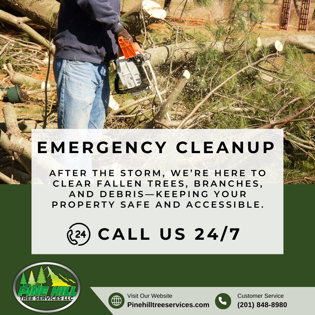 PineHillTS's tweet photo. 🌪️ Storm damage? We’re ready 24/7 for fast emergency cleanup in Bergen County. Call Pine Hill Tree Services at (201) 848-8980 🌳
#EmergencyCleanup #NJTreeServices https://t.co/d7W3HklDLl