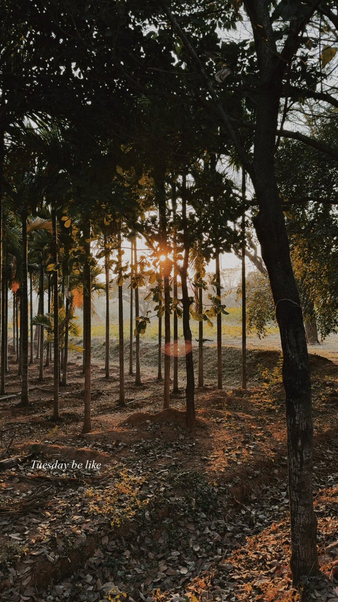 mithunn77's tweet photo. Mornings in Bengaluru.. #Bengaluru #beggerscolony #laggere https://t.co/U8M7o9xjP9