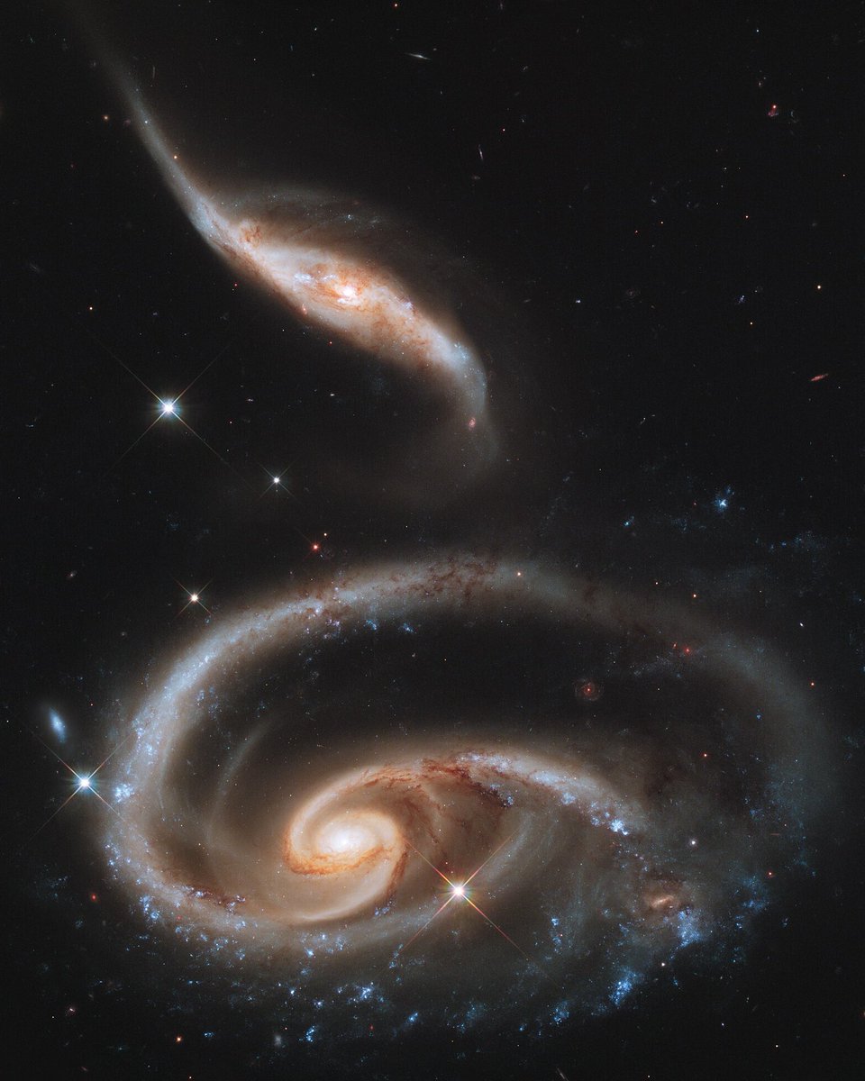 astropics's tweet image. ･ ｡
    ∴｡　
　･ﾟ*｡. 
　　･ *ﾟ
　 ･ ﾟ*
     ･｡     
   *･｡
      *.｡ 
           ｡･
              °*. ﾟ｡
                      °*.
                      ﾟ*.
                 ｡｡ ･
             ｡ ･ﾟ
       ｡°*.
   ｡*
*･｡