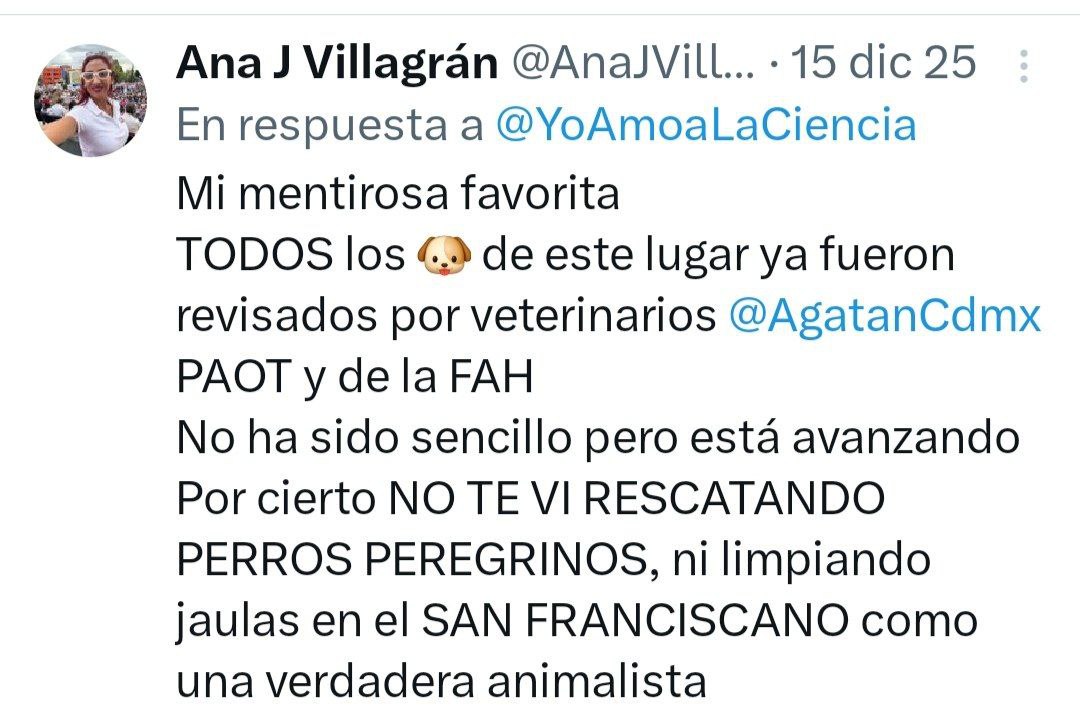 Contradicciones entre el gobierno de Brugada y la Fundación Haghenbeck

El 15 de diciembre, Ana Villagrán, titular de la Agencia de Atención Animal, afirmó públicamente que todos los animales del Refugio Franciscano ya habían sido revisados por veterinarios de AGATAN y PAOT.