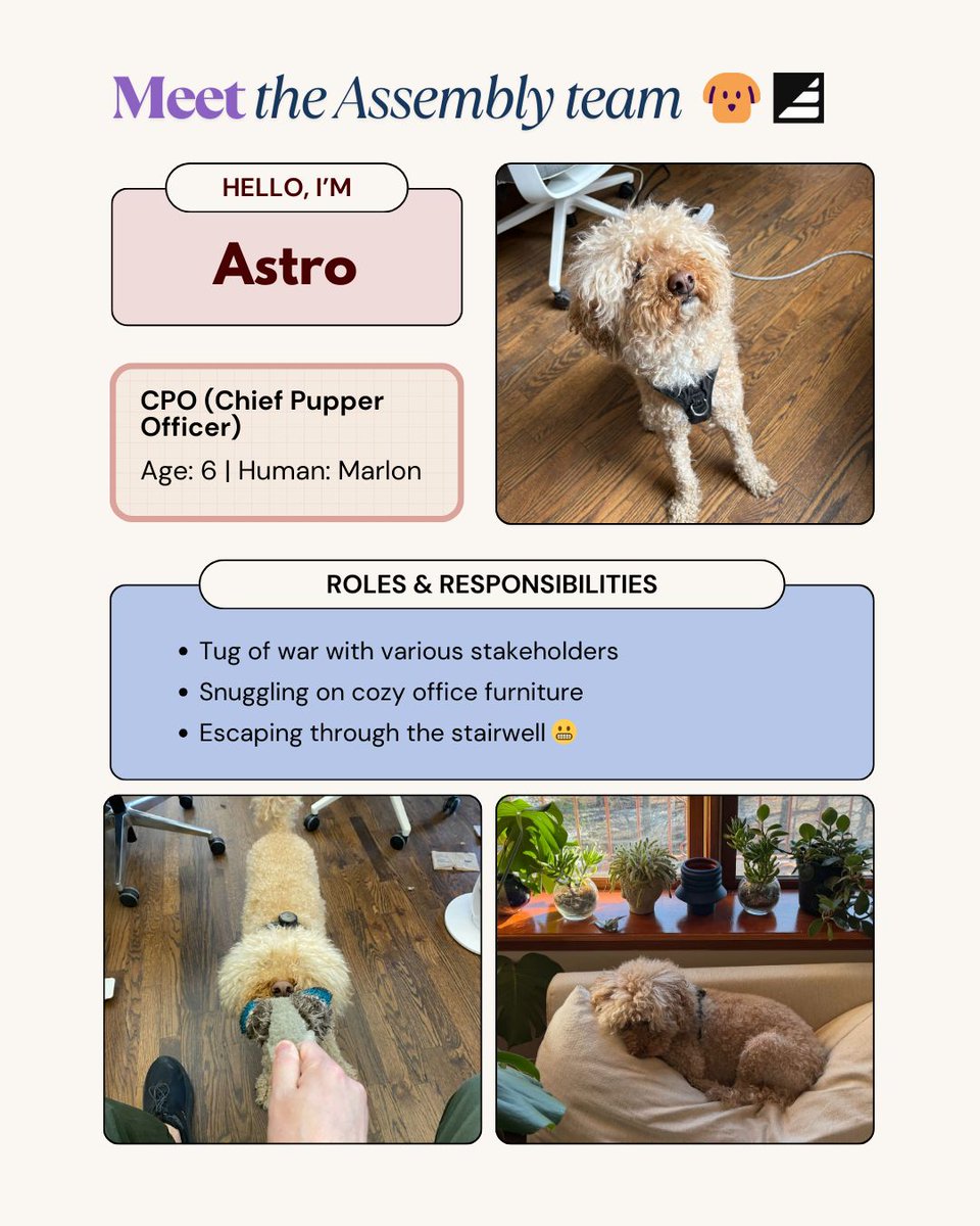 Assembly tweet media