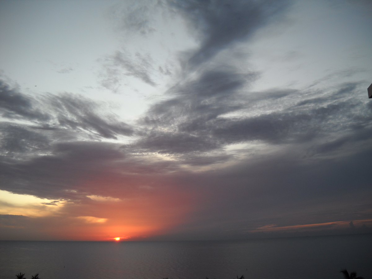 Michael Levy tweet media