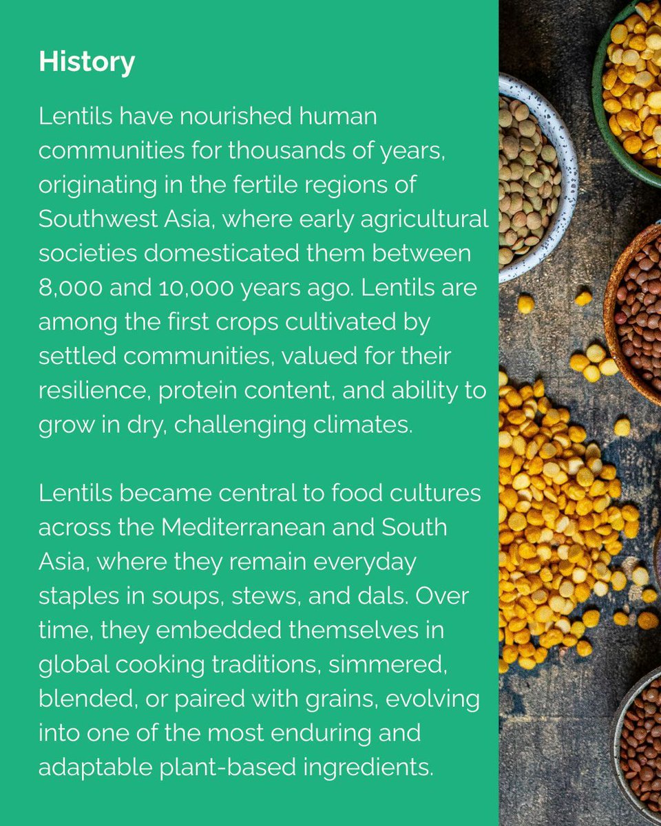 Turning Green tweet media