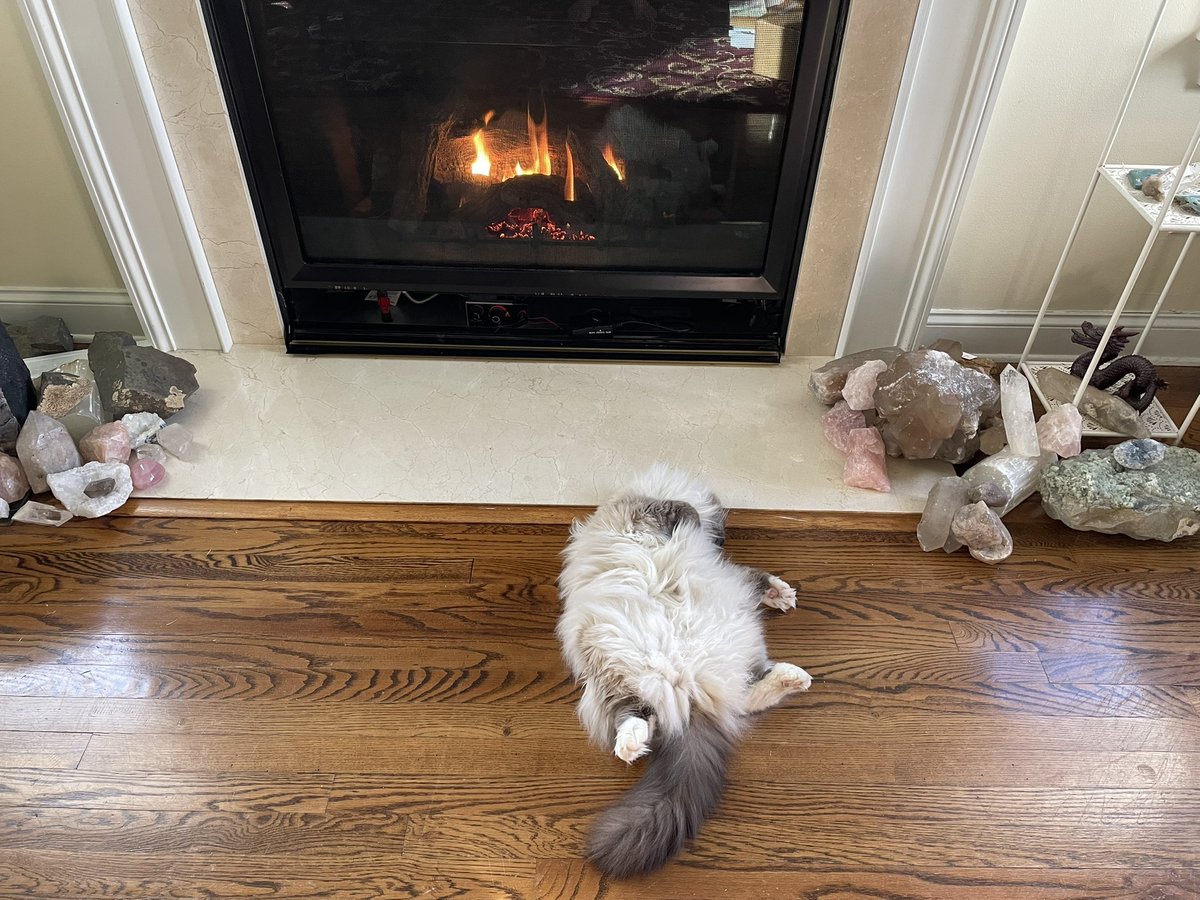 LipstickMystic2's tweet photo. We are in a serious snow situation here so the prime spot is by the fireplace. Marcel says he go there first.#CatsOnX #CatsOfTwotter #birmans #Birmans #floofalert https://t.co/Jd8D80tnRg