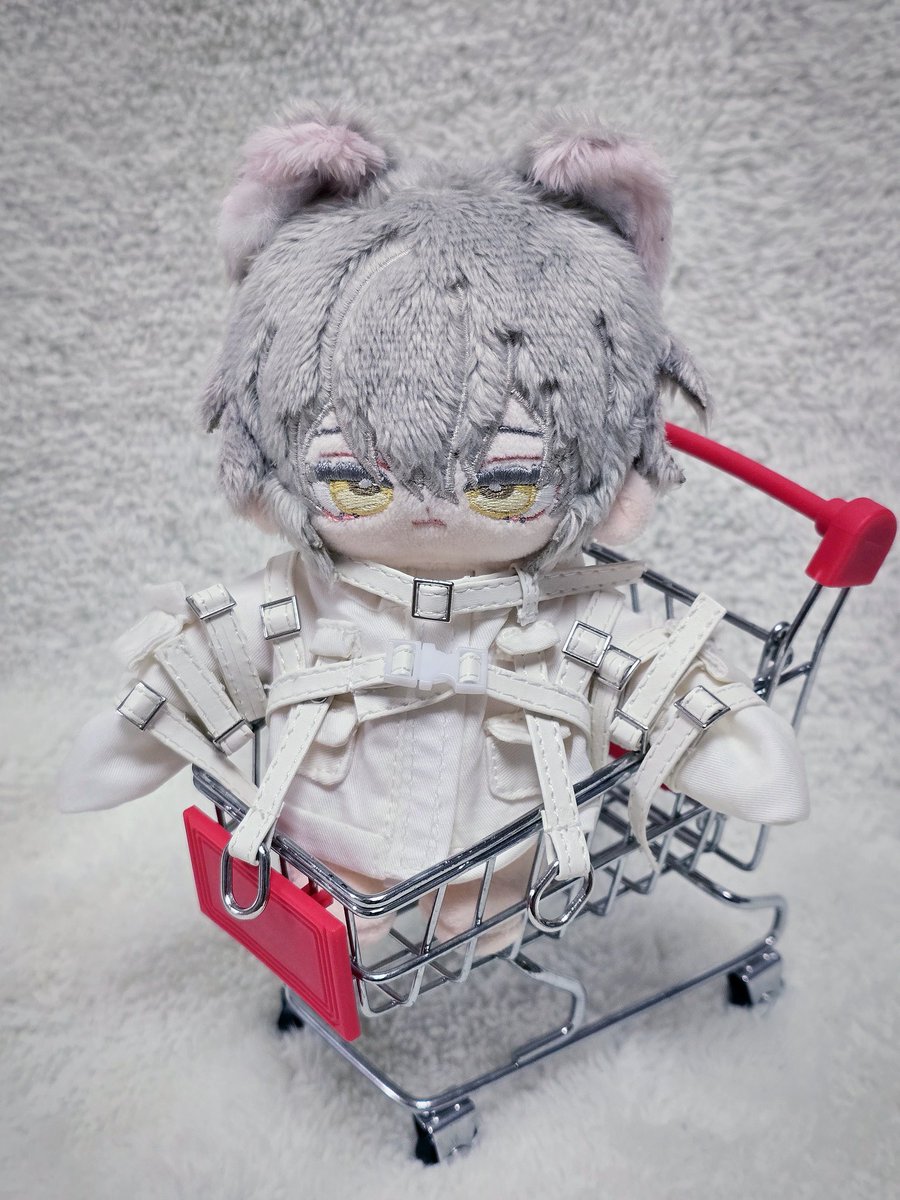 양도받은 레더 체인 화이트 도착!
처음 옷 입힐 때 머리가 띵했어요🤣
멋진 돼삼이 보고 가세요!~✨️