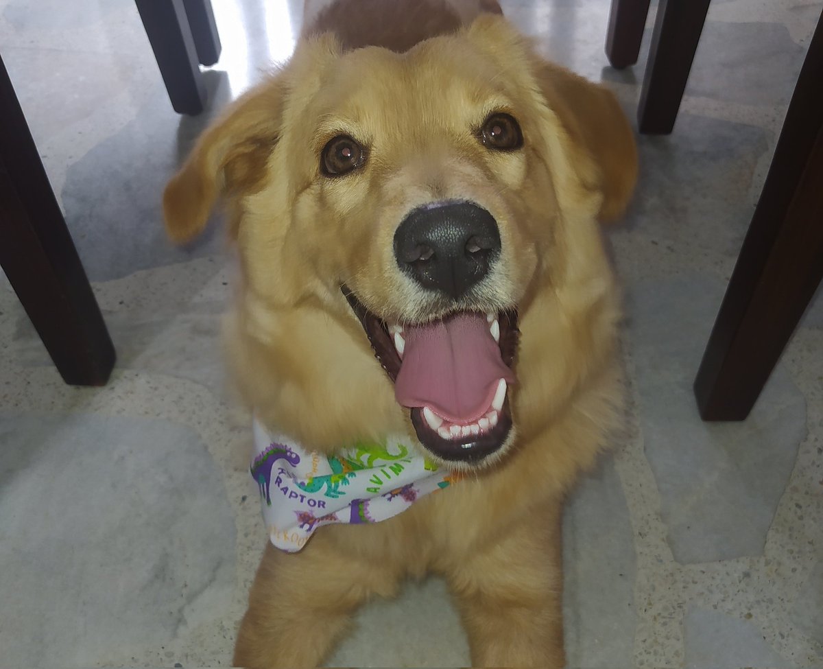 Picked her up from the daycare and this is the happiest I've ever seen her 😭