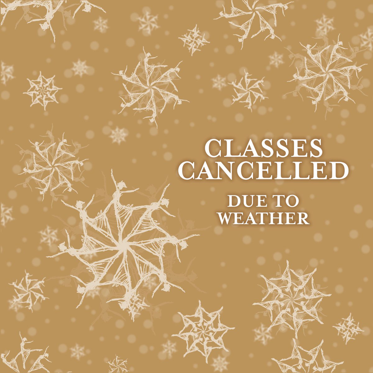 Springfield Ballet tweet media