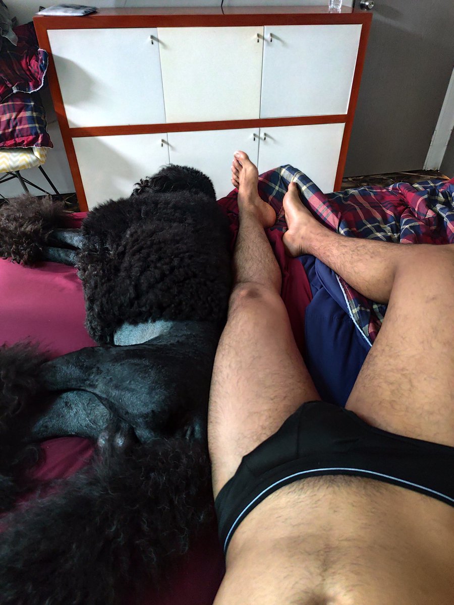 Buenos días!
#poodle #pet