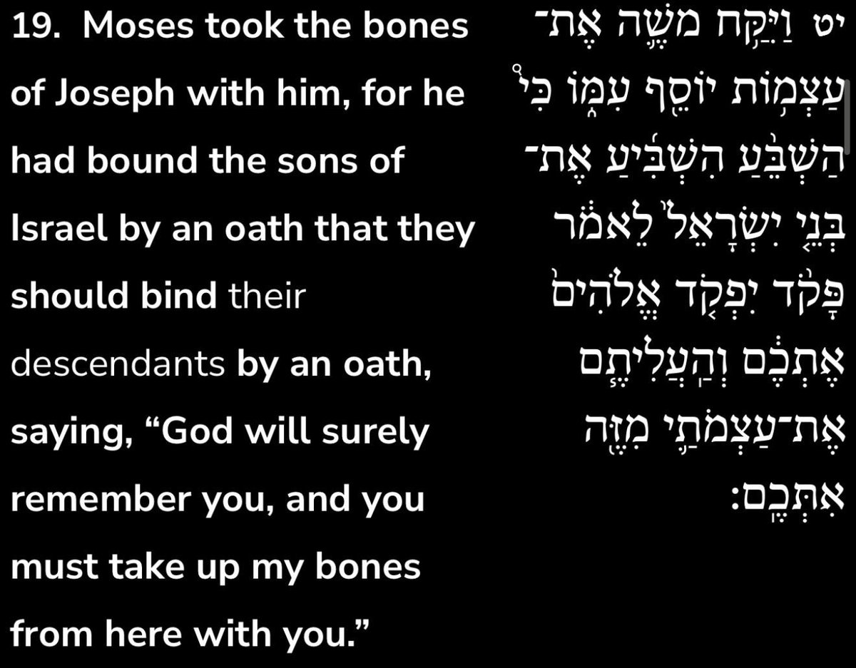 Daniella Greenbaum Davis tweet media