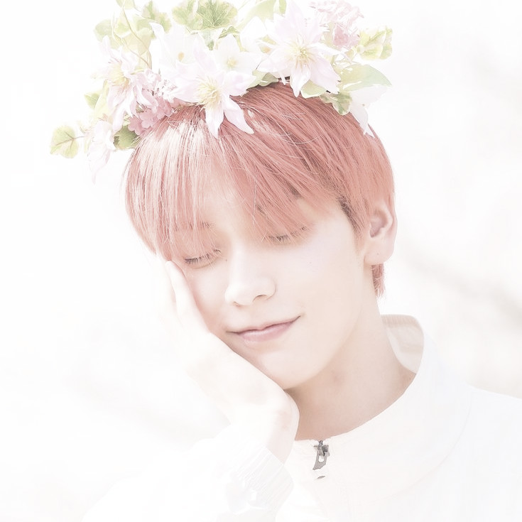 Ohsofthoney's tweet image. ㅤㅤㅤ𔘓 ㅤㅤㅤㅤㅤㅤㅤㅤㅤㅤㅤㅤㅤㅤㅤㅤㅤㅤㅤㅤㅤㅤㅤㅤㅤㅤㅤ