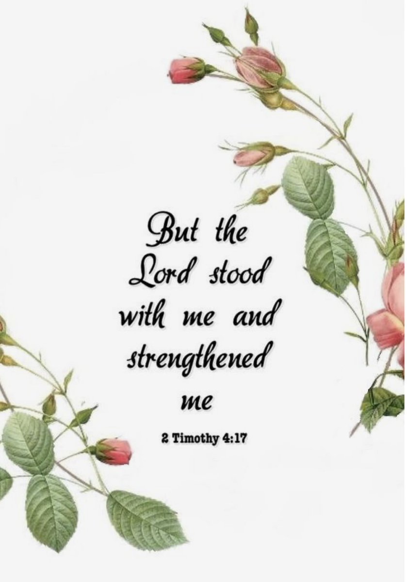 sharonePack's tweet image. 