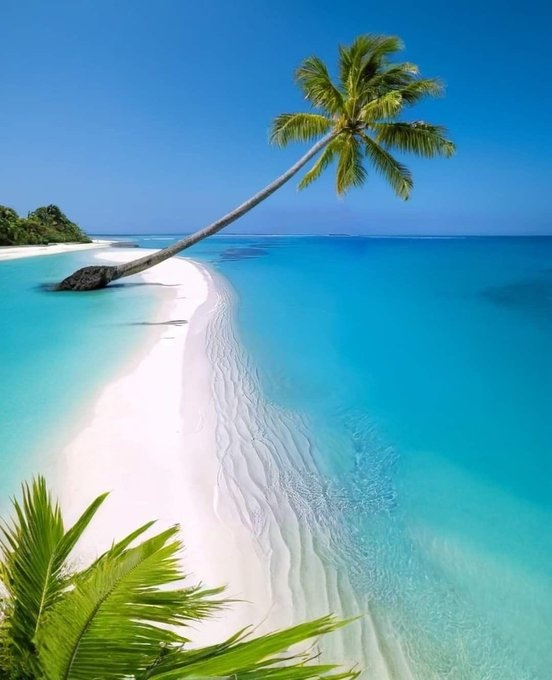 Travel Itinerary tweet media