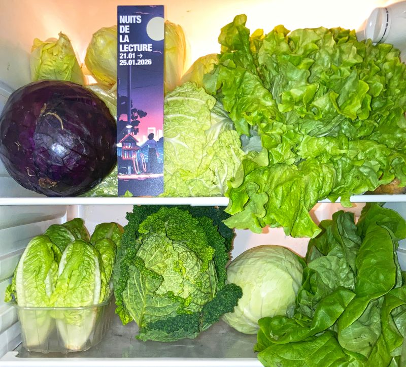 AstroPantheon's tweet image. La #NuitsDeLaLecture avec des légumes de la 𝗰𝗮𝗺𝗽𝗮𝗴𝗻𝗲: salades, choux … On a raconté des salades. 
Voici en vidéo le résumé ⬇️
