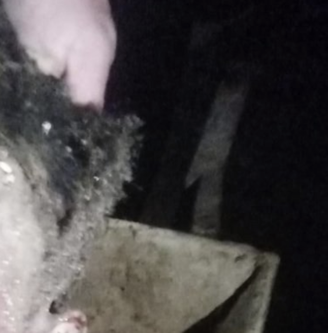 TracTerrorism's tweet image. Suspected Tehreek-e-Taliban Pakistan (#TTP) Suicide #Bomber Targets Wedding Ceremony Near Qureshi Mor, Dera Ismail Khan District, Khyber Pakhtunkhwa, #Pakistan 
Read more: trackingterrorism.org/chatter/suspec…