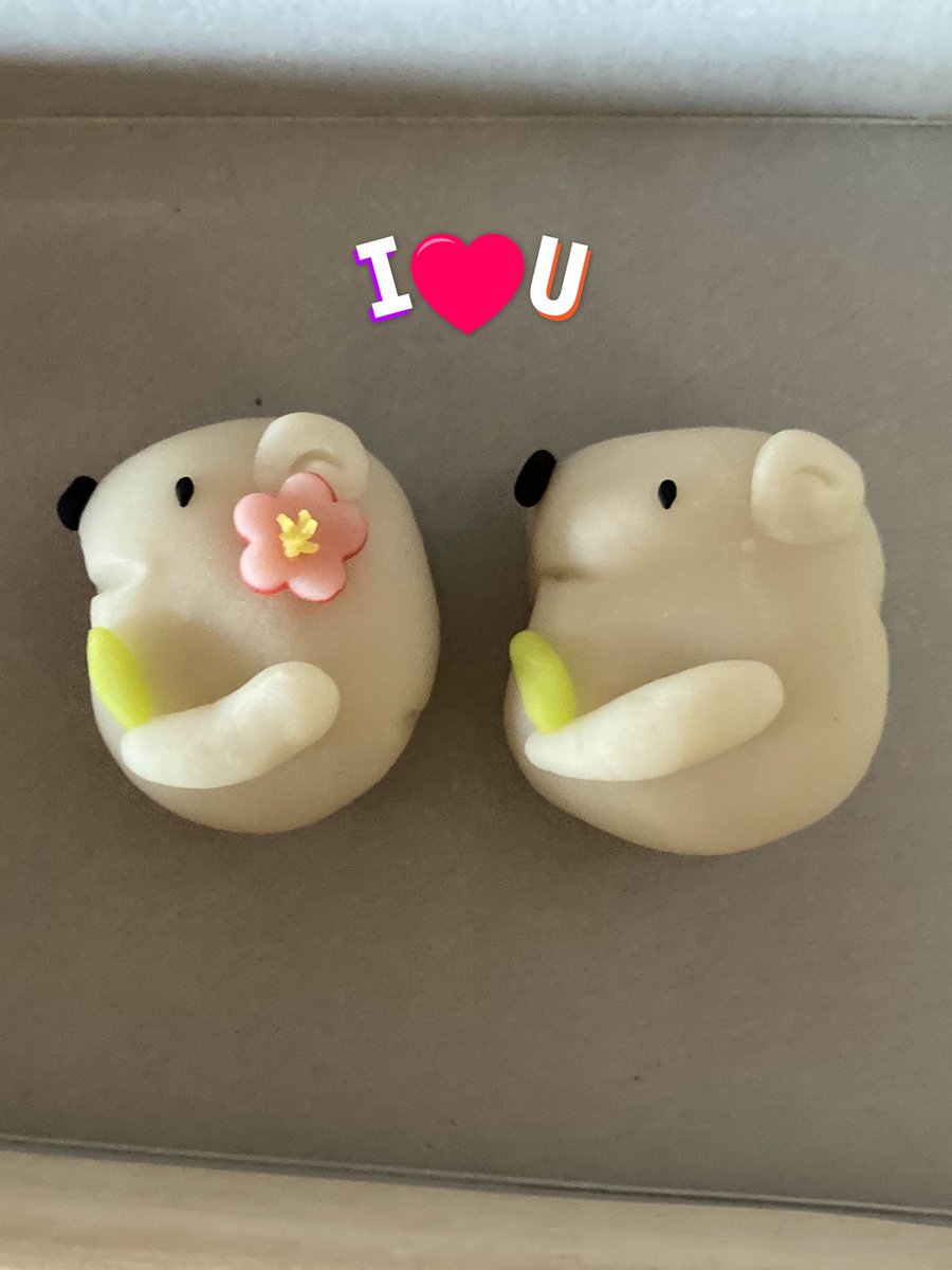 おきゃくで特別な弁当を食べた日から、10月1日のお店でお弁当を買う、、やっと叶った初日のお昼☀
彩り、味全てが最高でした😊

そして、バスツアーは特別な弁当🙈
素敵なお弁当＆1つ1つが美味しい🥲

クラファンを通して、応援できてよかったと思う瞬間でした😋

#十スペ
#10月1日　素敵なお弁当