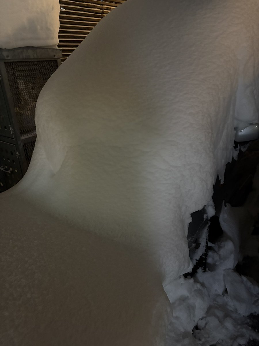 error_code_04's tweet image. リハ終わって帰宅しました！！

車がかまくらみたいな状態になってたので、雪かきで筋肉痛です

日付変わりまして本日!
クレモンでバースデーやらせていただきます
お手隙の方は是非遊びにきてください🙇‍♂️🙇‍♂️🙇‍♂️
