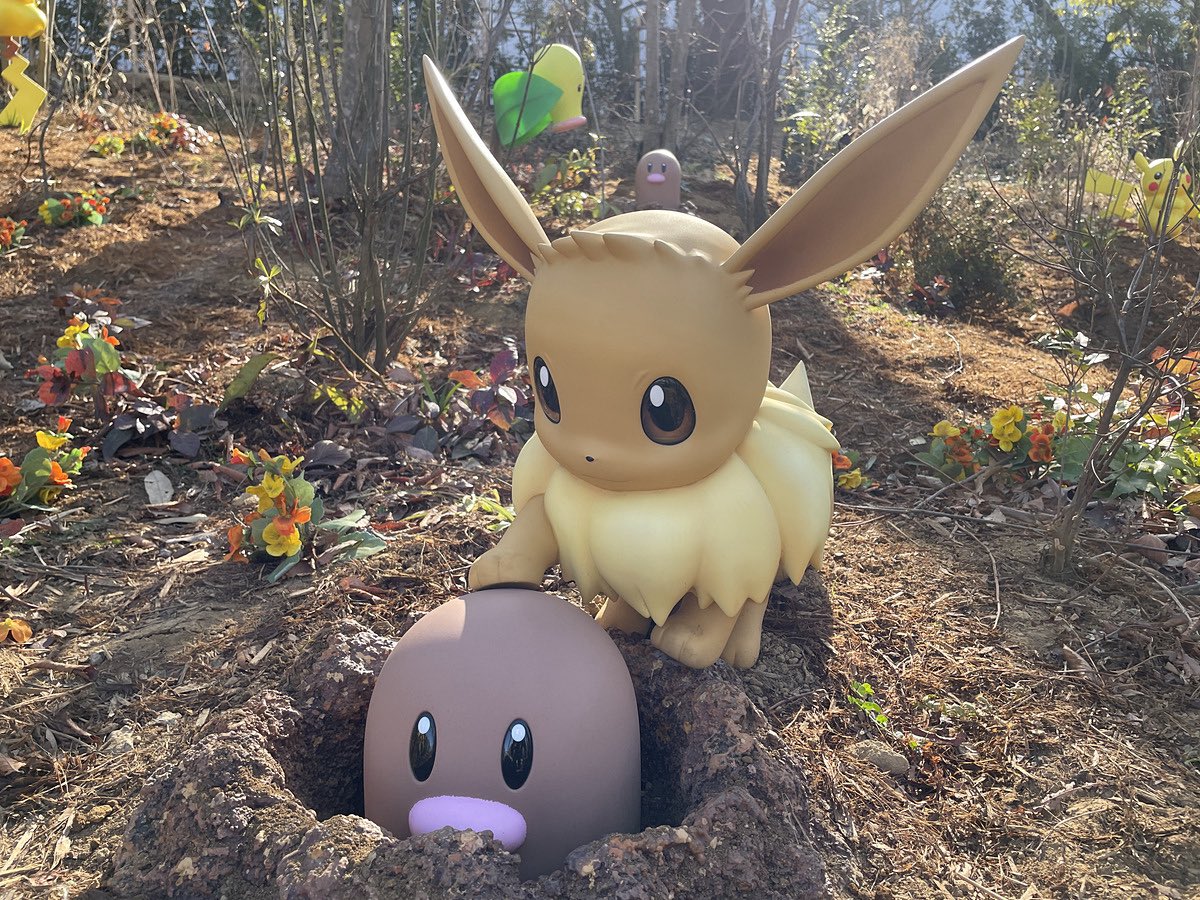 ポケパークの写真全部かわいいけど特にこれ好き