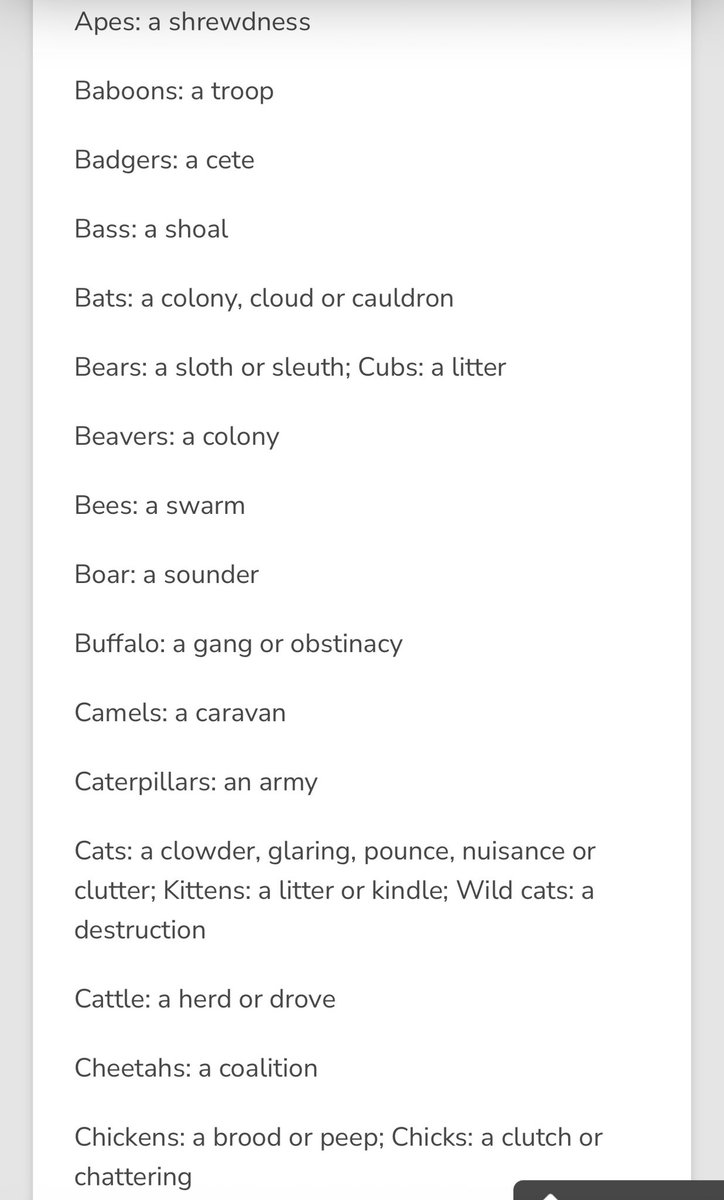 Collective nouns list