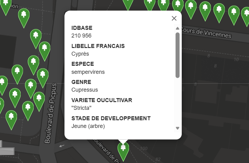 TanguiLeDantec's tweet image. Poursuivant sur sa lancée, elle a opté pour des cyprès méditerranéens, dont la silhouette élancée jure sur un trottoir étroit. "Juste parce que c'est joli", disait-on.
Résultat : la moitié a péri, mais rappelons que ces arbres sont champions des #allergies. Un choix idiot!