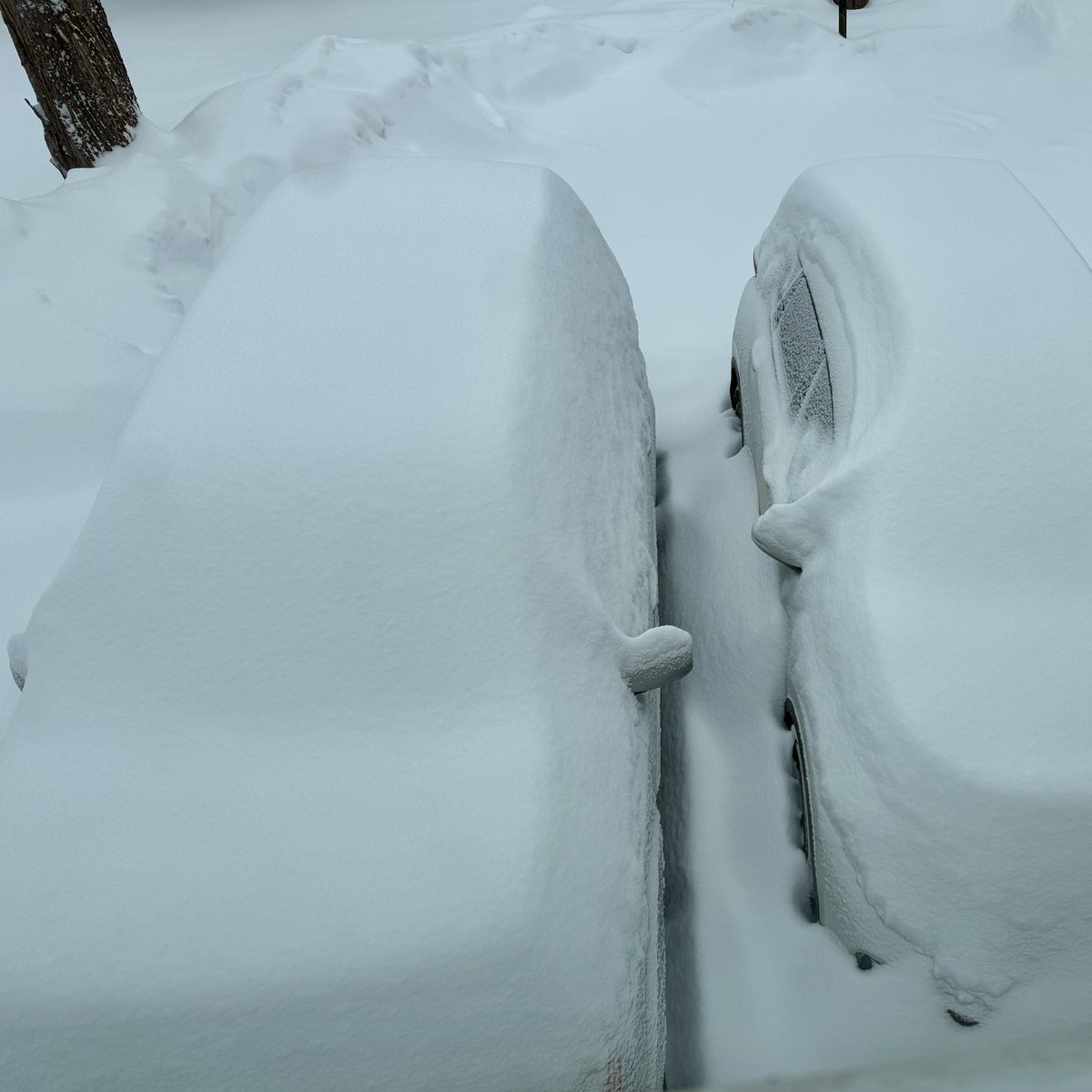 Chris S. Cornell tweet media