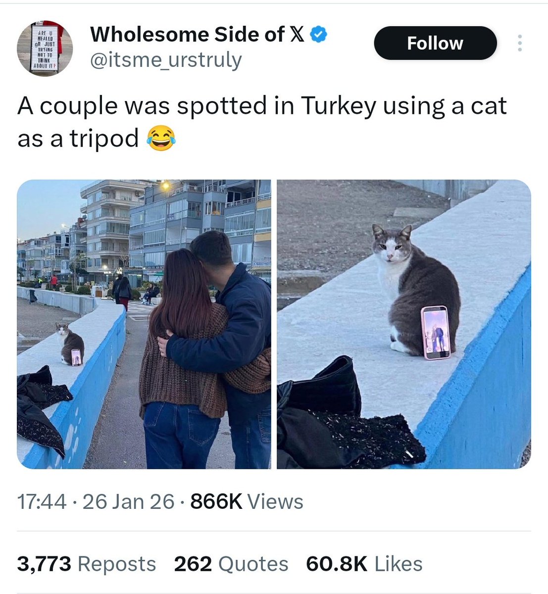 Enak aje lu follow kagak minta gue jadi tripod. Lu siape