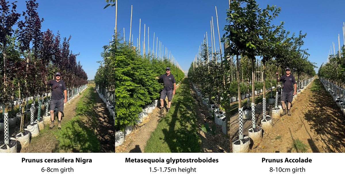 Products & Services Review tweet media