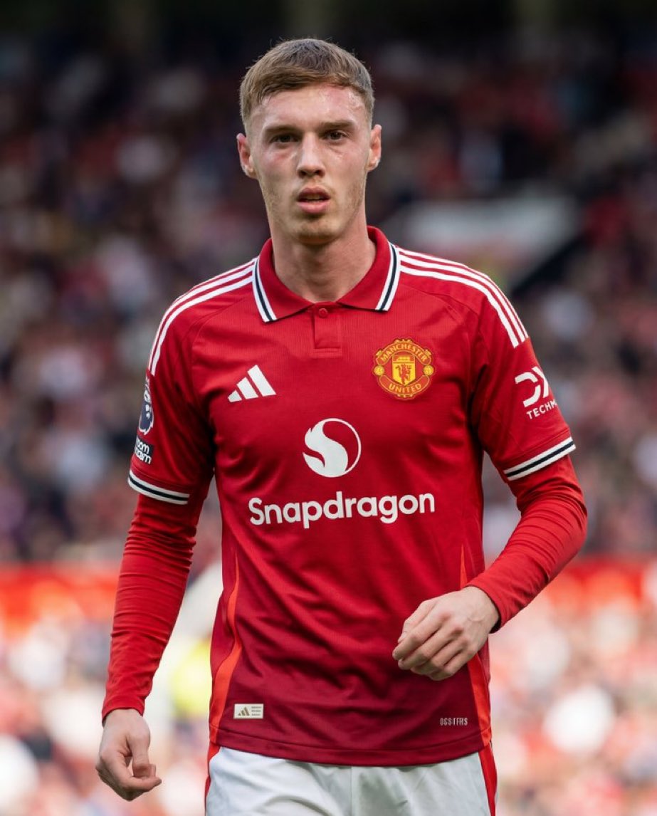 utdreport tweet media