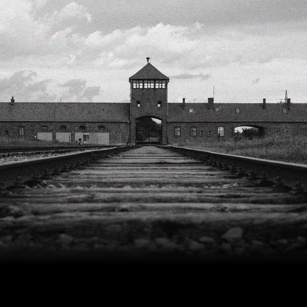 AfD-Fraktion im Deutschen Bundestag 🇩🇪 tweet media