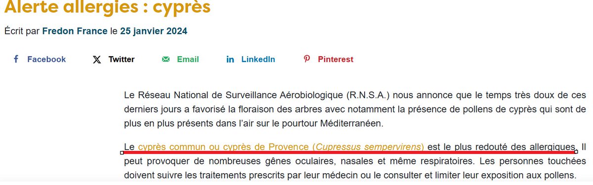 TanguiLeDantec's tweet image. Poursuivant sur sa lancée, elle a opté pour des cyprès méditerranéens, dont la silhouette élancée jure sur un trottoir étroit. "Juste parce que c'est joli", disait-on.
Résultat : la moitié a péri, mais rappelons que ces arbres sont champions des #allergies. Un choix idiot!