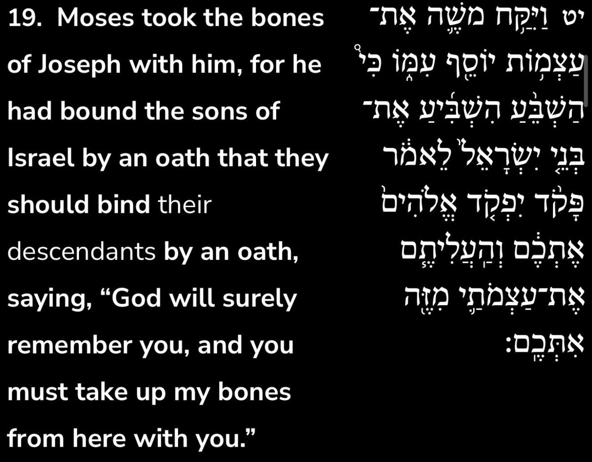 emilyraustin's tweet image. This weeks Torah portion:
No such thing as coincidences in life.