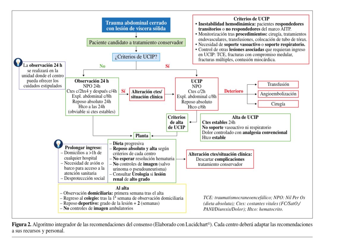 jorgepuntofijo's tweet image. Consenso del Manejo conservador del paciente pediátrico con lesión
de víscera sólida tras traumatismo abdominal cerrado.
Consenso auspiciado por la Sociedad Española de Cirugía Pediátrica @SECIPE