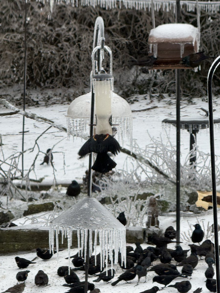 john mellow • wealth tax now tweet media