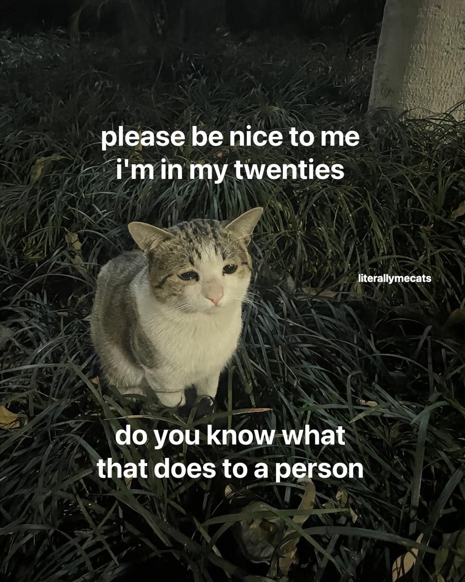 LiterallyMeCats (@literallymecats) on Twitter photo 