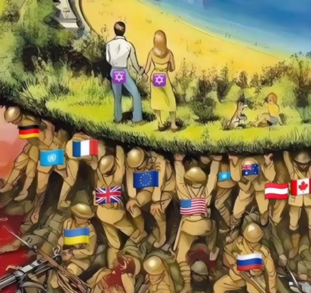 Wallace Degeorges tweet media