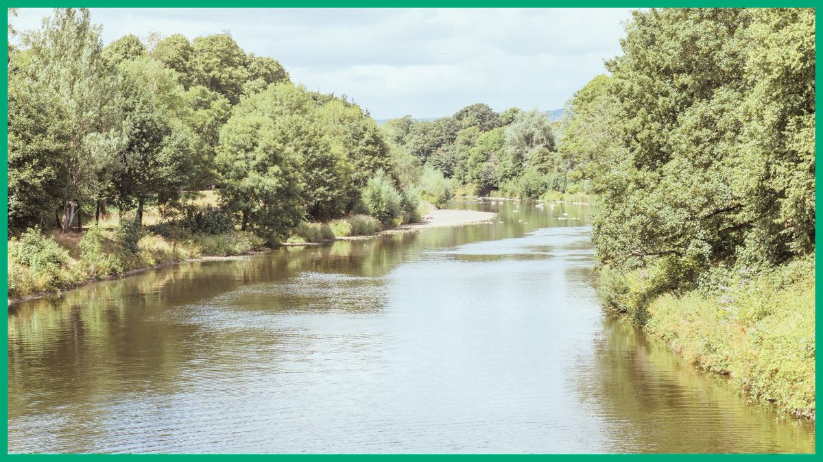Greenredeem's tweet image. UK rivers and wetlands are under pressure from drought, pollution and overuse.

Cutting water use isn’t just sustainable. It’s smart business.

Read the full article
greenredeem.co.uk/blogs/

#WaterEfficiency