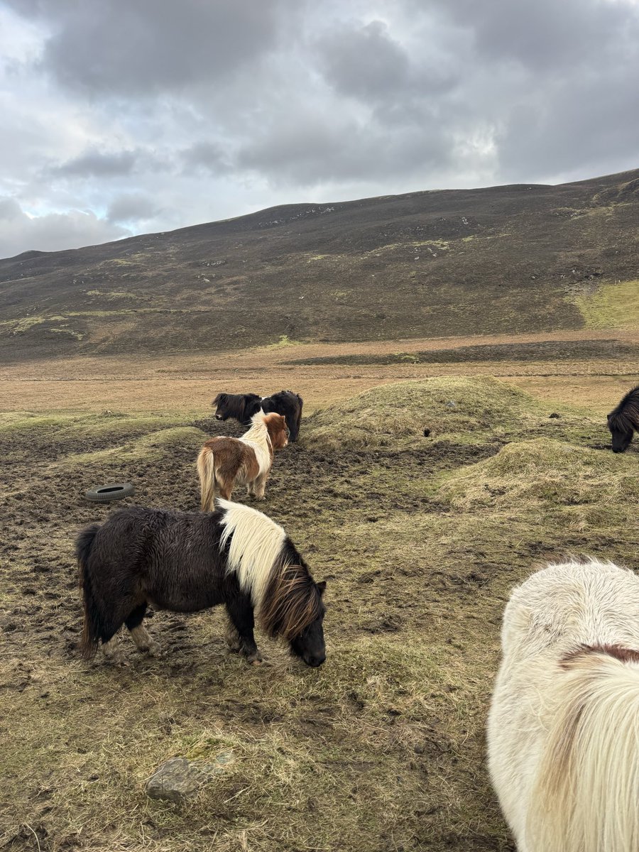 Max Unfried tweet media