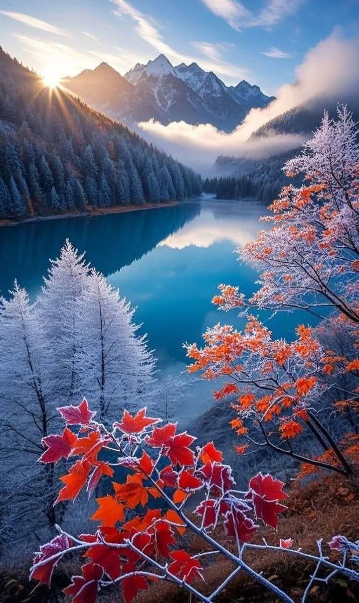 Alice 🌸🍃🌸 tweet media