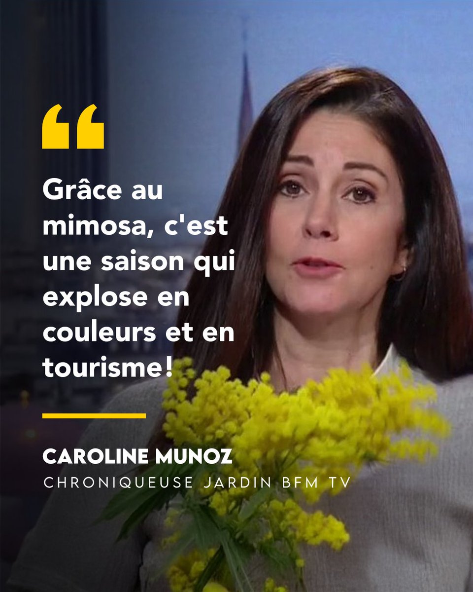 Var Tourisme tweet media