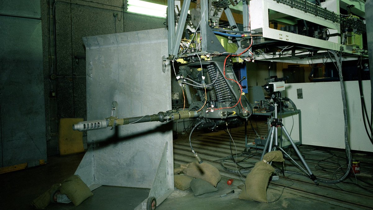 Black 🇬🇱 🏳️⚧️ Site tweet media