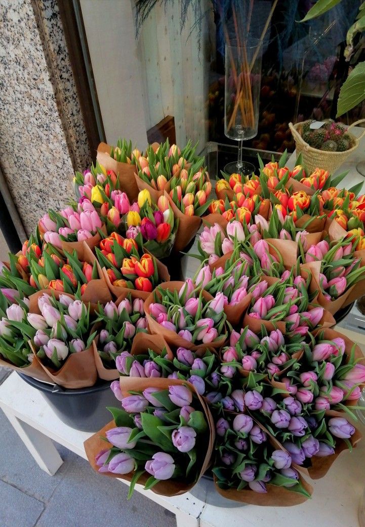 tutututututulip's tweet photo. https://t.co/xovZZ9ERTX