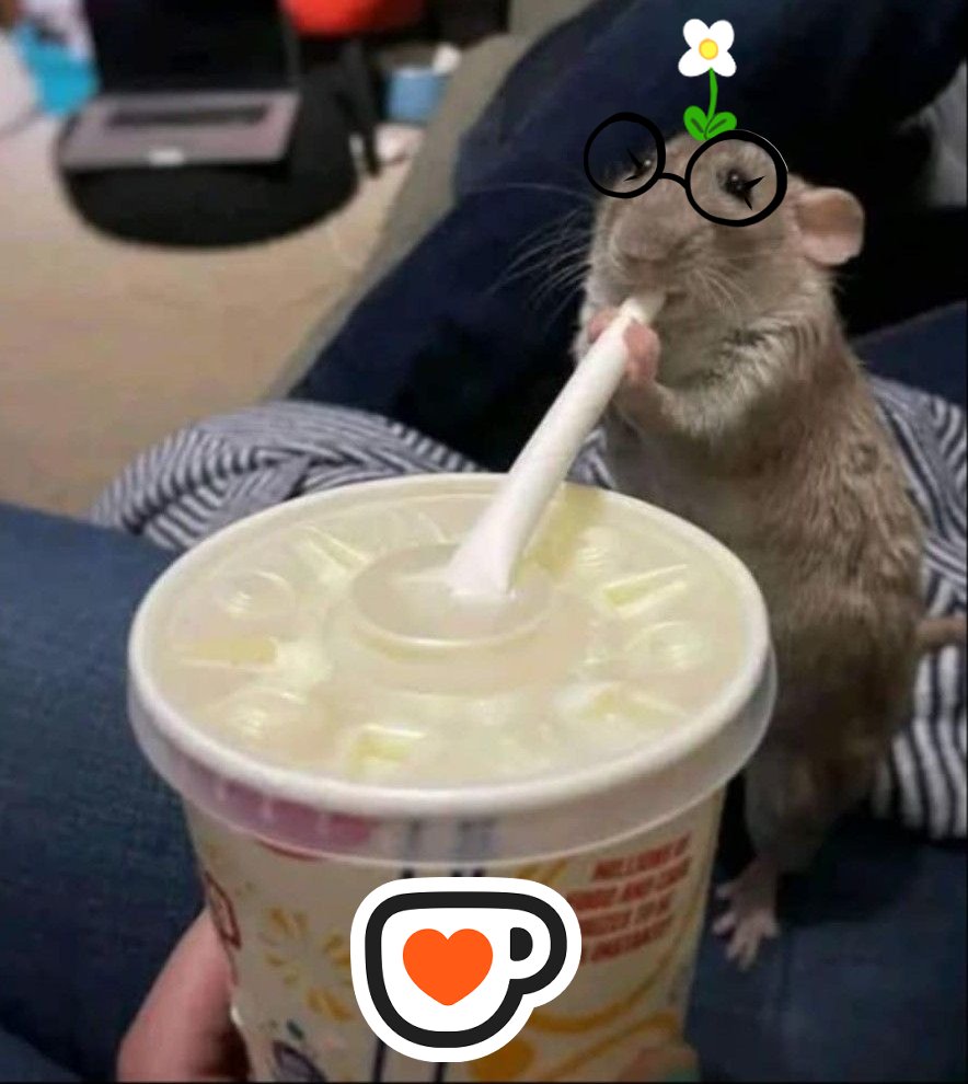 🌼🐀La_Pockis🐀🌼 tweet media