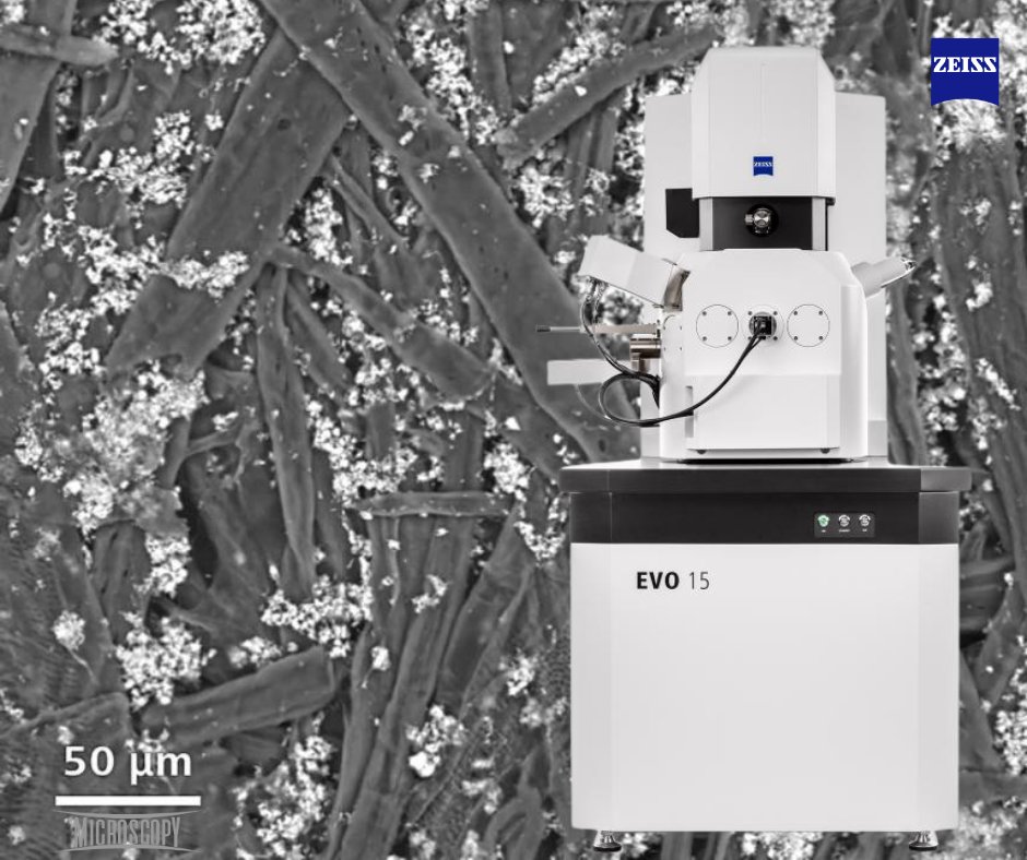 Microscopy SA 🔬🇦🇷 tweet media