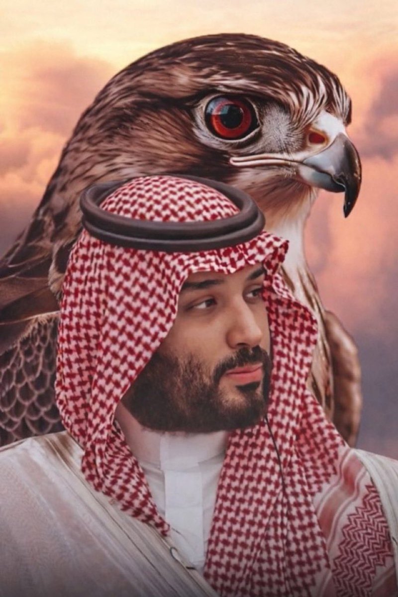 ALsahmaLsaudi's tweet photo. مادام سيدي ولد سلمان موجود بيننا 
ماهمنا نبح الكلاب الضارية واذنابها ✌🏼 https://t.co/i55h4RXbRH