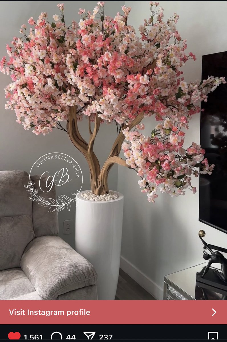 Chonky cat in Zayne’s basement tweet media