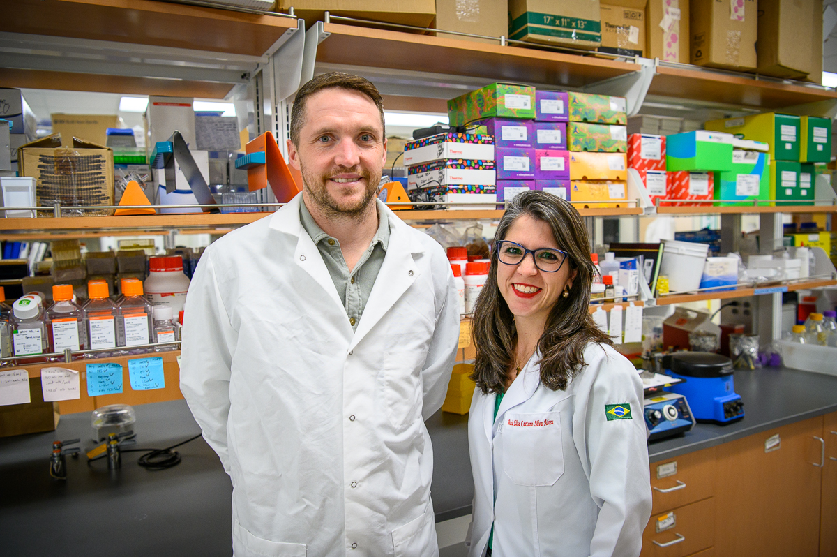 College of AHS tweet media