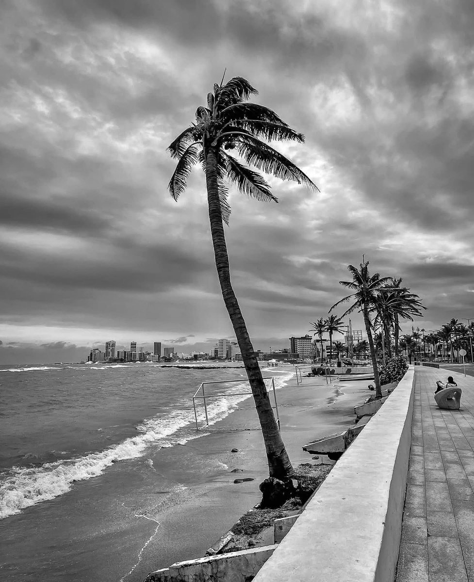 love_veracruz_'s tweet image. #Veracruz te quiero. #Nublado #Viento #FrenteFrio 😍🌊⛵️🌴🚙