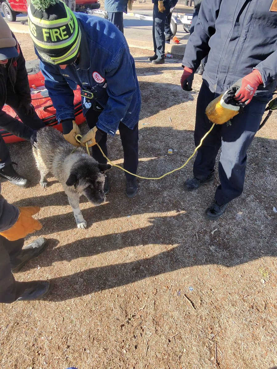 St. Louis Fire Dept tweet media