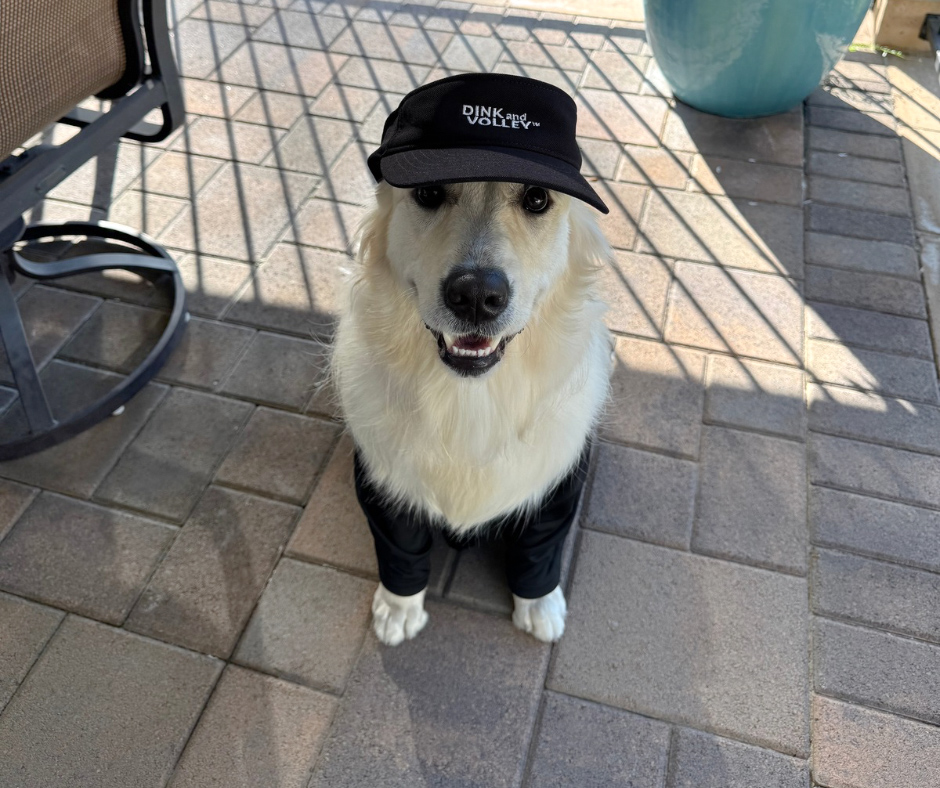 Kona knows what’s best! Did you know, we’ve got visors that keep you cool and stylish on the court? Perfect for sunny matches, travel, or everyday wear, our visors combine comfort, performance, and fun design. 

Whether you’re hitting the courts or hitting the beach, these visors