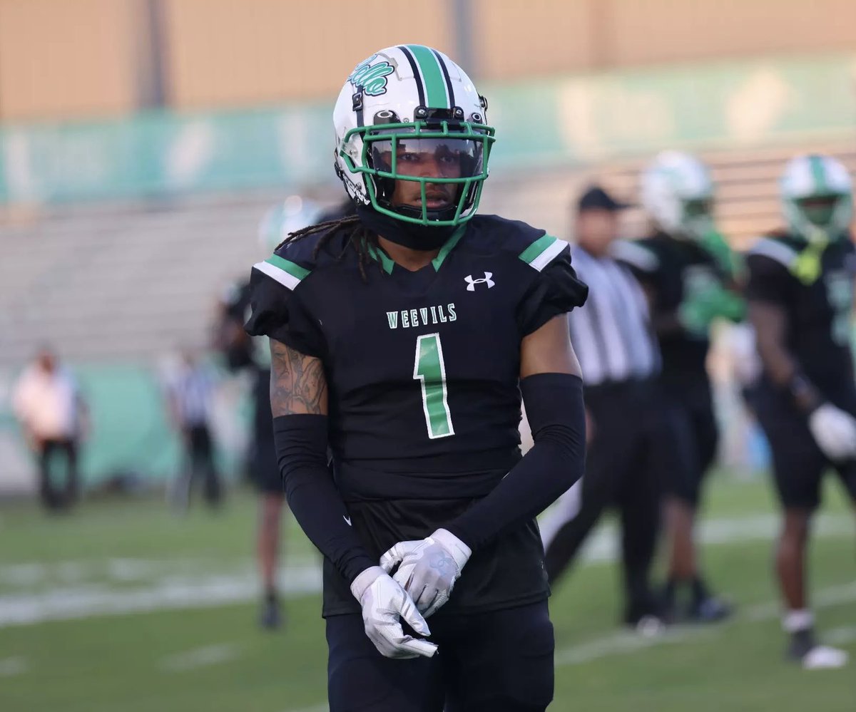 The Human Seatbelt🦍 tweet media