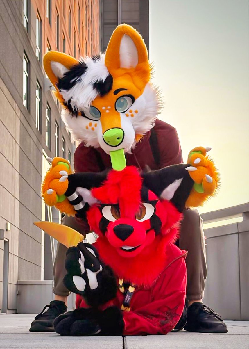 Scrubb_the_fox's tweet photo. She scares me sometimes 🔪 https://t.co/SHHR3mTNAS